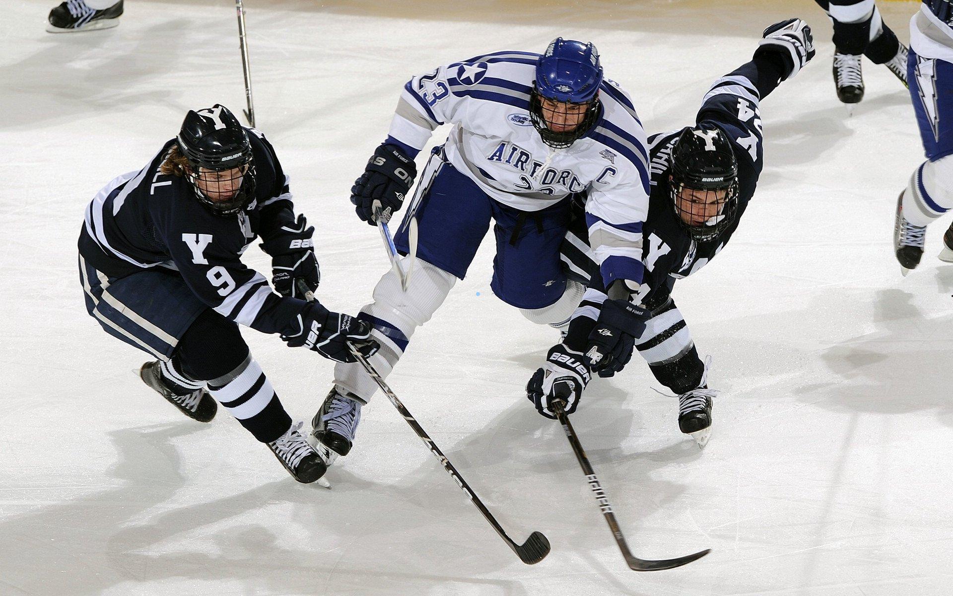 差异与公平,为何体育竞技必须坚持男女分组原则