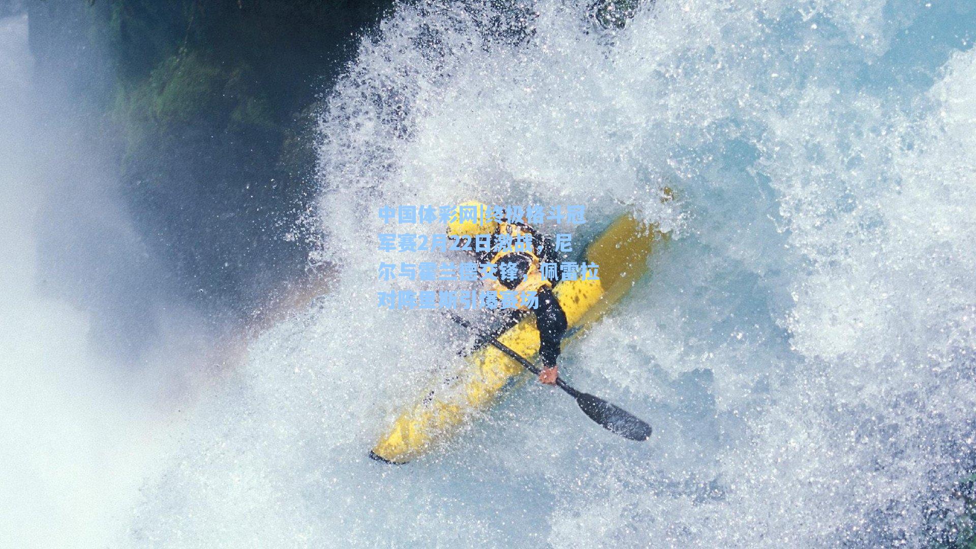 终极格斗冠军赛2月22日激战，尼尔与霍兰德交锋，佩雷拉对阵里斯引爆赛场